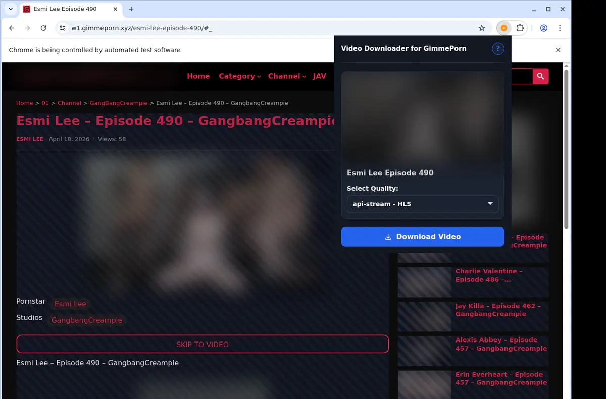 Gimmeporn Video Downloader screenshot 3